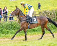 Race 5 - Restricted (7 of 155)