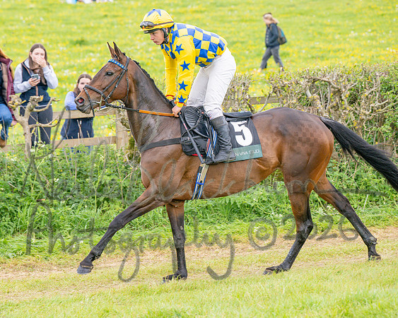 Race 5 - Restricted (7 of 155)