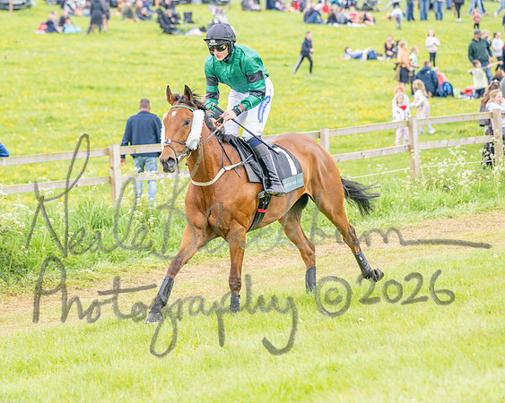 Race 5 - Restricted (12 of 155)