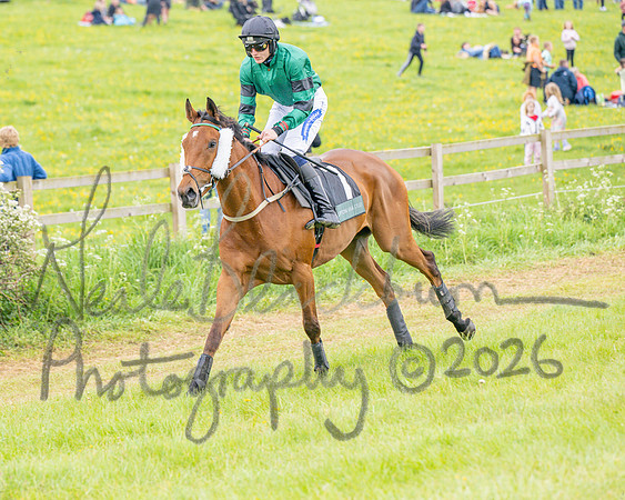 Race 5 - Restricted (13 of 155)