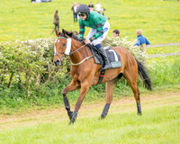 Race 5 - Restricted (14 of 155)