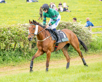 Race 5 - Restricted (15 of 155)