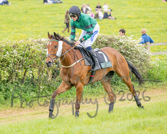 Race 5 - Restricted (15 of 155)