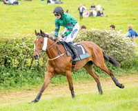 Race 5 - Restricted (16 of 155)