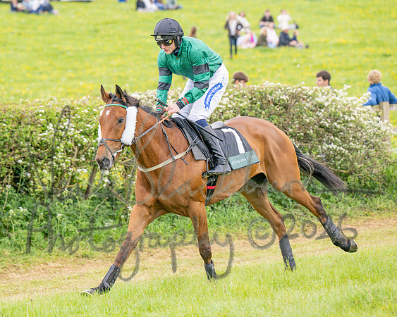 Race 5 - Restricted (16 of 155)