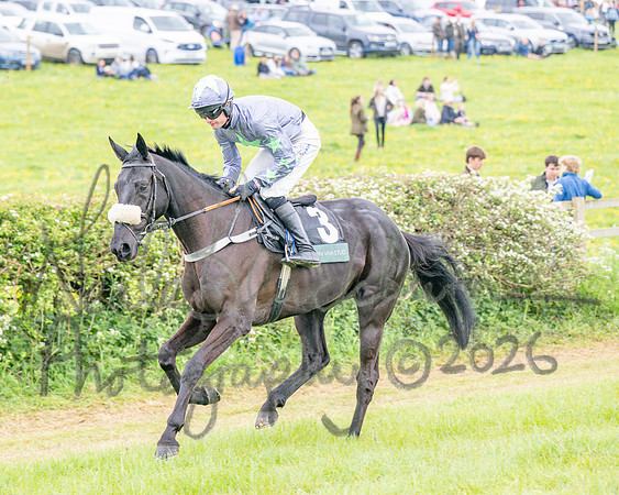 Race 5 - Restricted (17 of 155)