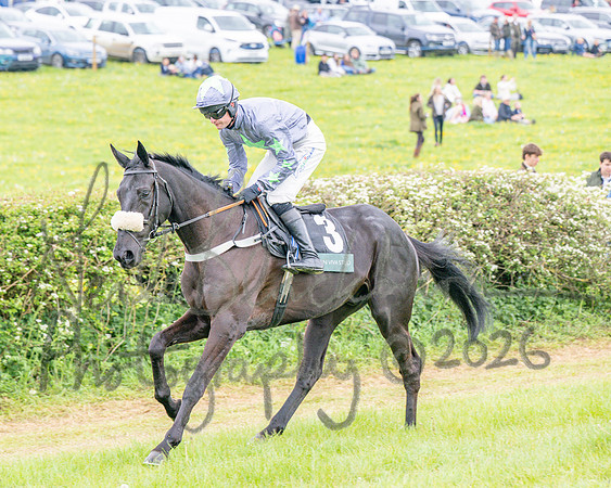 Race 5 - Restricted (18 of 155)