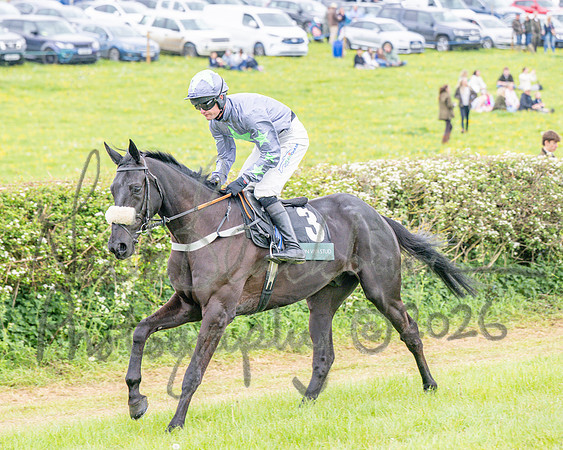 Race 5 - Restricted (19 of 155)