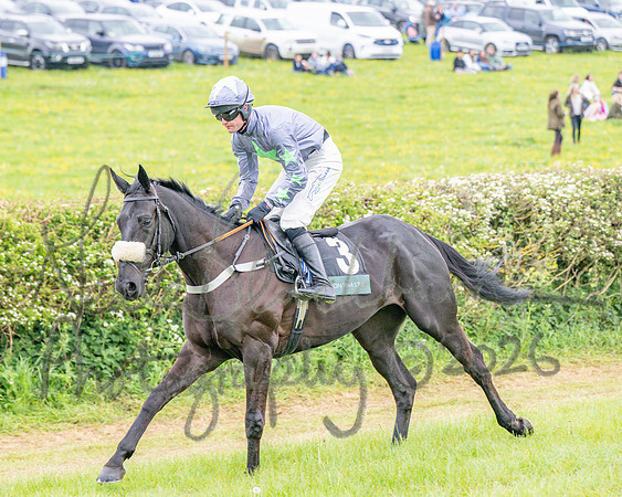 Race 5 - Restricted (20 of 155)