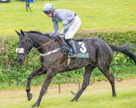Race 5 - Restricted (21 of 155)