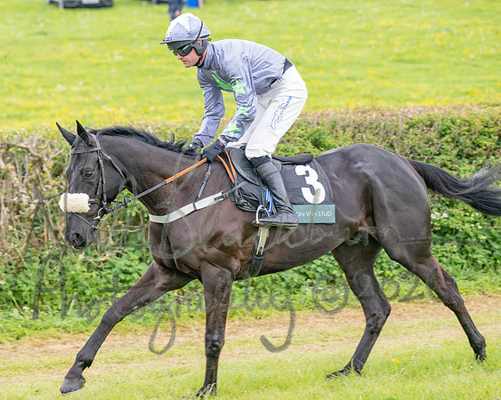 Race 5 - Restricted (22 of 155)