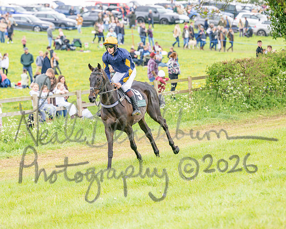 Race 5 - Restricted (23 of 155)