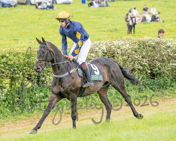 Race 5 - Restricted (24 of 155)