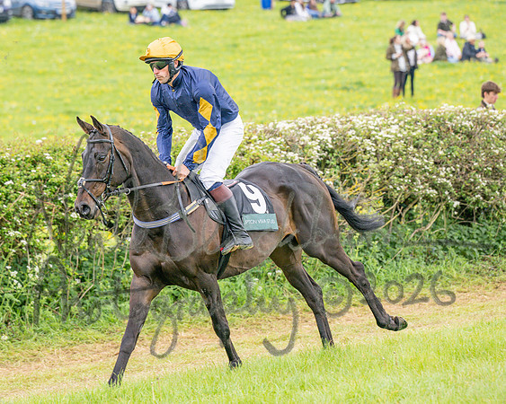 Race 5 - Restricted (25 of 155)
