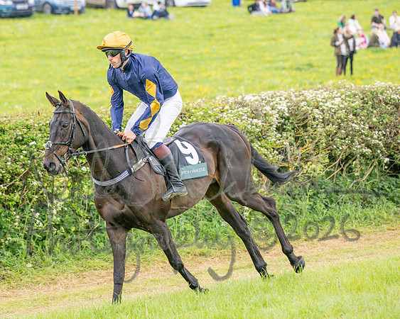 Race 5 - Restricted (26 of 155)