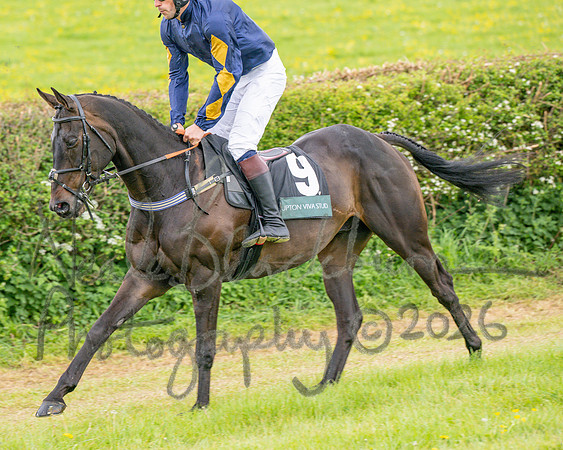 Race 5 - Restricted (28 of 155)