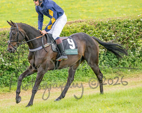 Race 5 - Restricted (27 of 155)
