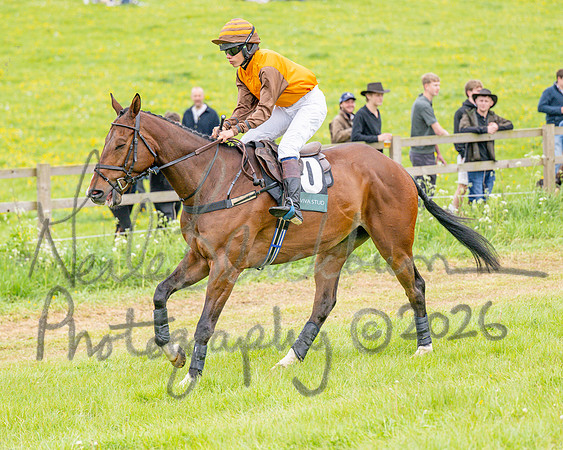 Race 6 - Maiden (10 of 255)