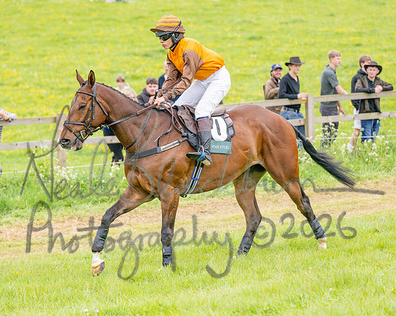 Race 6 - Maiden (11 of 255)