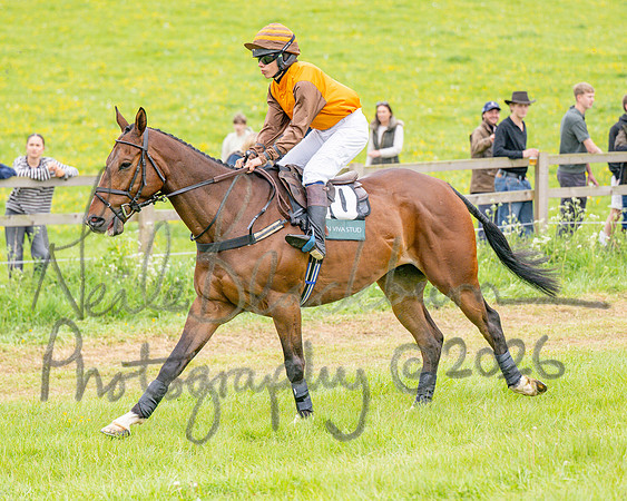 Race 6 - Maiden (12 of 255)