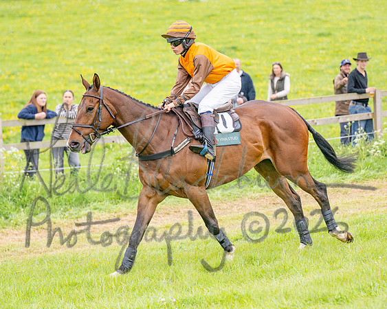 Race 6 - Maiden (13 of 255)