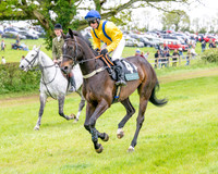 Race 6 - Maiden (14 of 255)