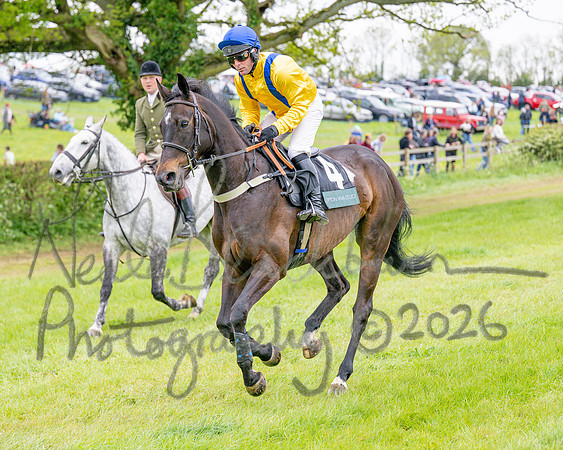 Race 6 - Maiden (14 of 255)