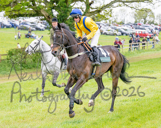 Race 6 - Maiden (15 of 255)