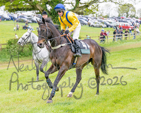 Race 6 - Maiden (16 of 255)