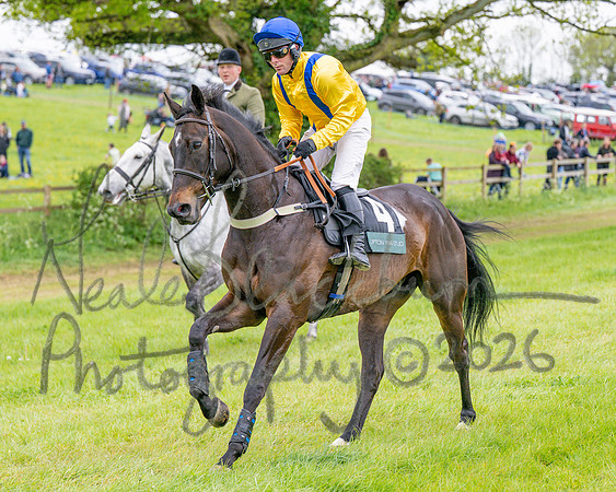 Race 6 - Maiden (17 of 255)