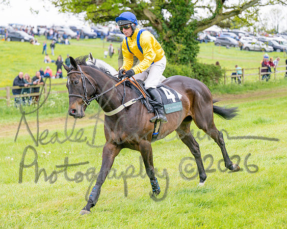 Race 6 - Maiden (20 of 255)