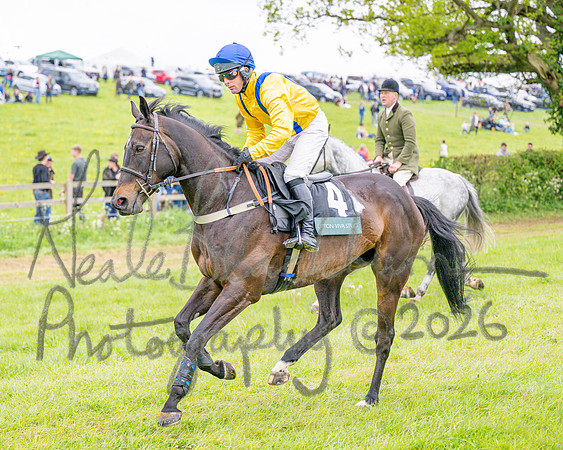Race 6 - Maiden (21 of 255)
