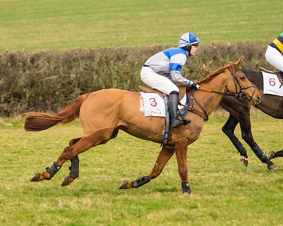 Race 3 - Restricted  (17 of 100)
