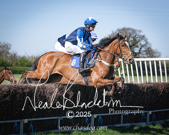 Race 6 - Veteran horse (52 of 109)