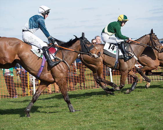 Race 2 - Open Maiden Div 2 (94 of 124).jpg