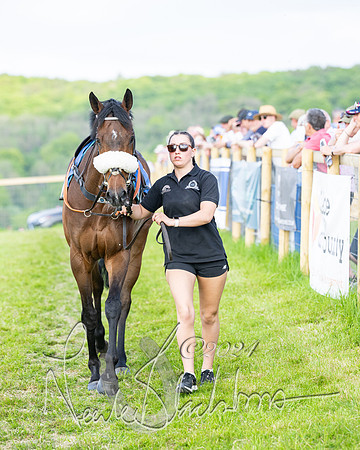 Race 6 - Intermediate (3 of 212)
