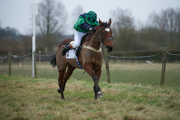 Pony Race 2  1