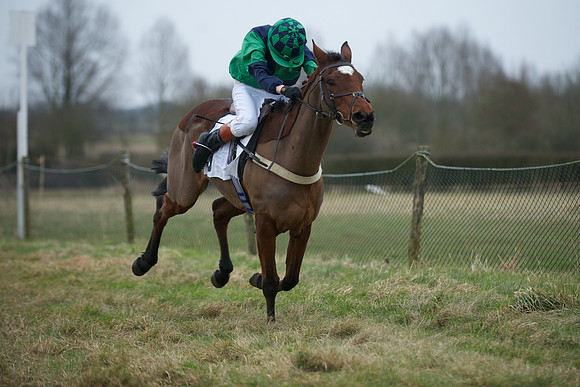 Pony Race 2  2
