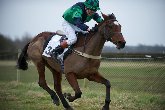 Pony Race 2  3