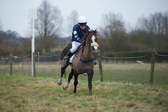 Pony Race 2  5