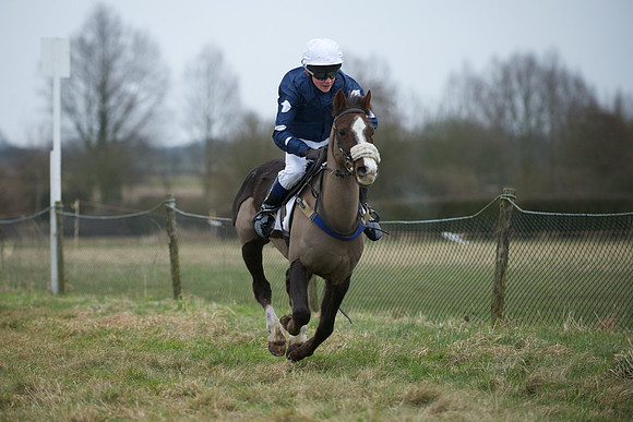 Pony Race 2  6