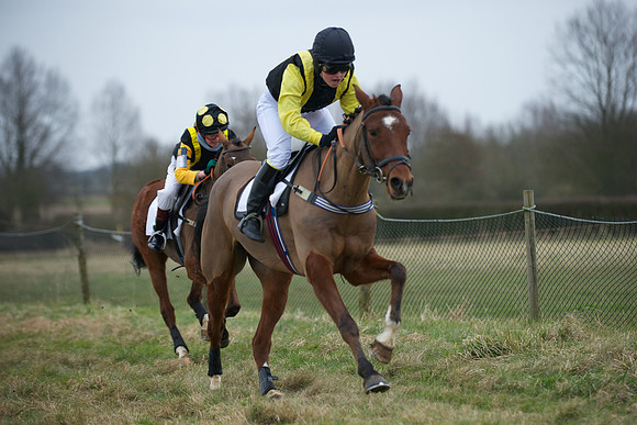 Pony Race 2  7