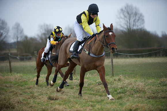 Pony Race 2  8