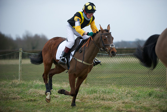 Pony Race 2  9