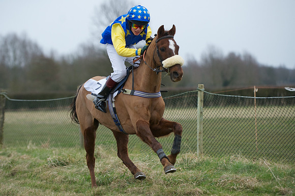 Pony Race 2  10