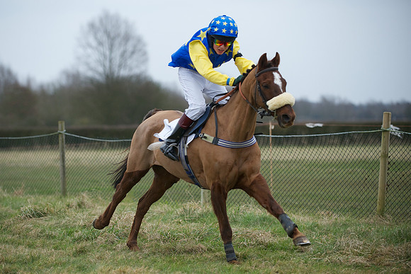 Pony Race 2  11