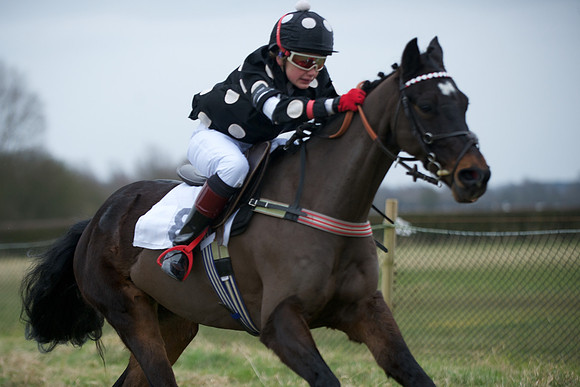 Pony Race 2  12