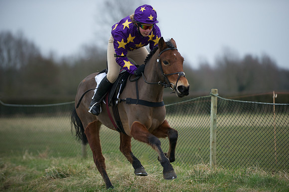 Pony Race 2  14