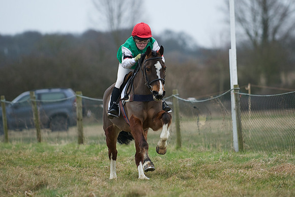 Pony Race 2  15