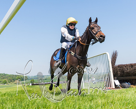 Pony Races  (38 of 141)
